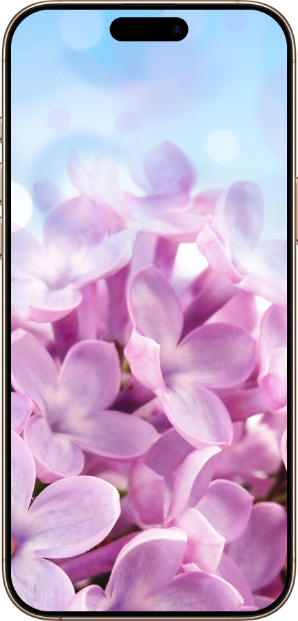 TPU чехол Бузок для Apple iPhone 16 Pro Max - 527b-3706 изображение 