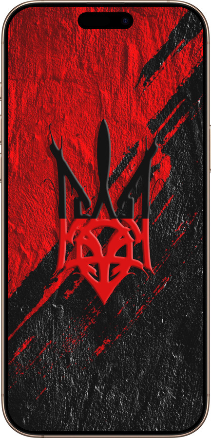 TPU чехол Герб v4 для Apple iPhone 16 Pro Max - 5293b-3706 изображение 