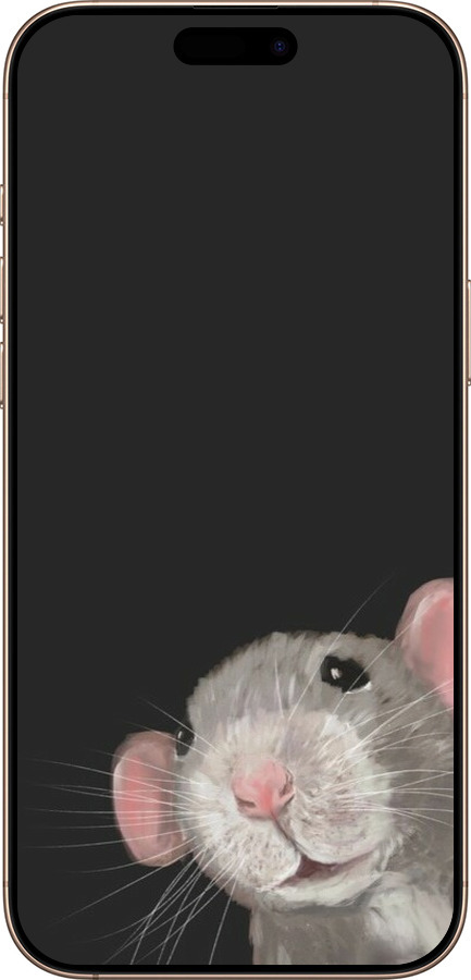 TPU чехол The Peeking Rat для Apple iPhone 16 Pro Max - 6442b-3706 изображение 