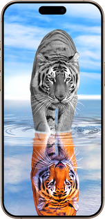 Силиконовый чехол Тигр для Apple iPhone 16 Pro Max - 6016u-3706 изображение 