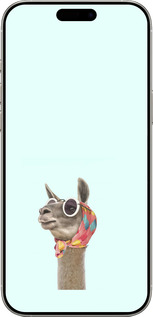 TPU чехол Модна лама для Apple iPhone 16 Pro - 4479b-3708 изображение 