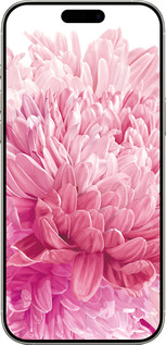 TPU чехол Хризантема для Apple iPhone 16 Pro - 4666b-3708 изображение 
