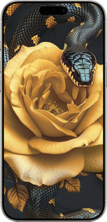 TPU чехол Black snake and golden rose для Apple iPhone 16 Pro - 6068b-3708 изображение 