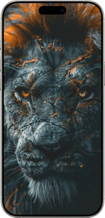 TPU чехол Полум'яний лев для Apple iPhone 16 Pro - 6153b-3708 изображение 