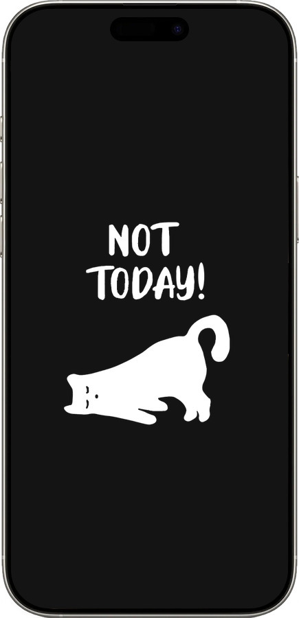 TPU чехол Уставший кот для Apple iPhone 16 Pro - 4535b-3708 изображение 