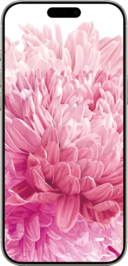 TPU чехол Хризантема для Apple iPhone 16 Pro - 4666b-3708 изображение 