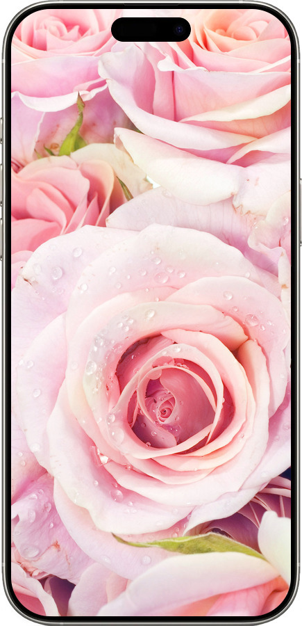 TPU чехол Розы для Apple iPhone 16 Pro - 525b-3708 изображение 