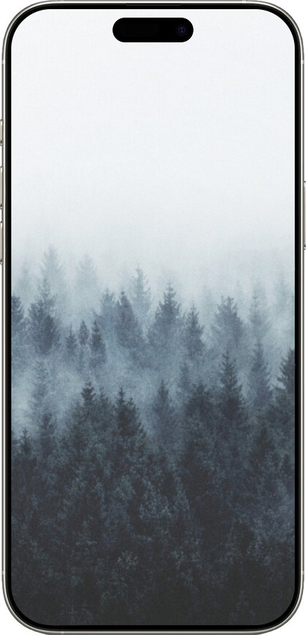 TPU чехол № 5406 для Apple iPhone 16 Pro - 5406b-3708 изображение 