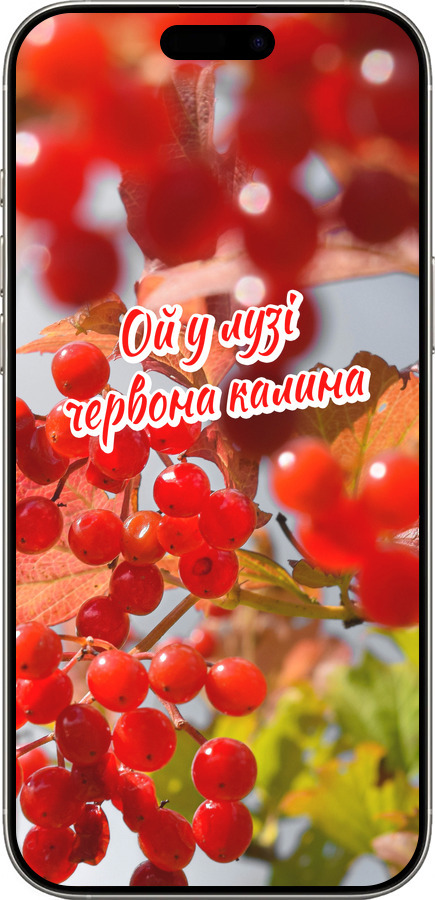 TPU чехол Калина для Apple iPhone 16 Pro - 5454b-3708 изображение 
