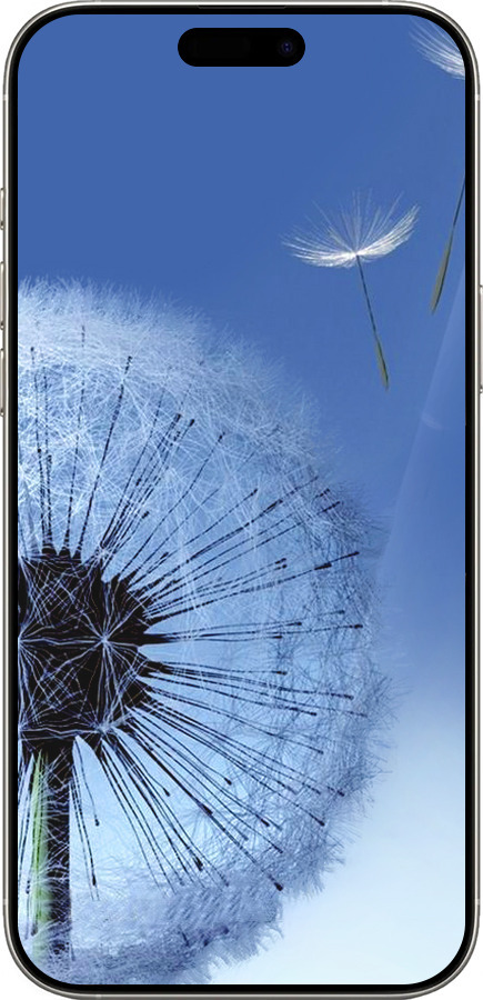 TPU чехол Одуванчик для Apple iPhone 16 Pro - 6005b-3708 изображение 