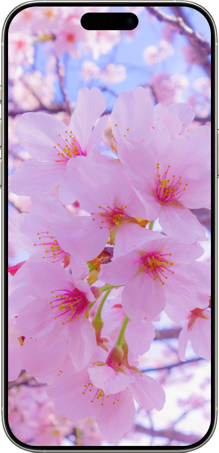 TPU чехол Сакура для Apple iPhone 16 Pro - 6029b-3708 изображение 