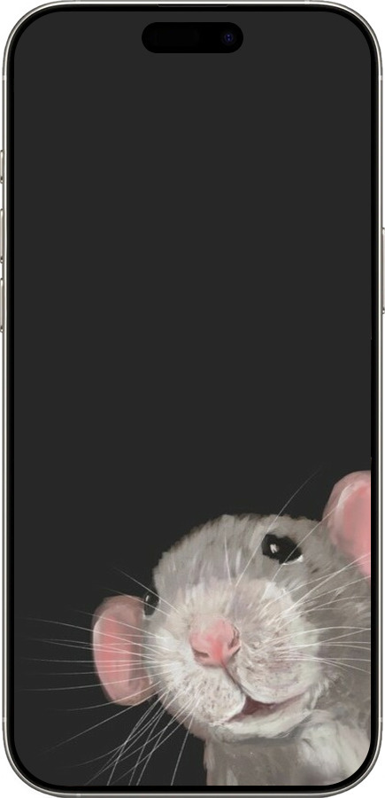 TPU чехол The Peeking Rat для Apple iPhone 16 Pro - 6442b-3708 изображение 