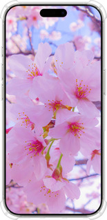 Силикон с усиленными углами чехол Сакура для Apple iPhone 16 Pro - 6029sp-3708 изображение 