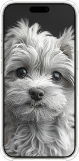 Силикон с усиленными углами чехол Мальтипу на чорном фоне для Apple iPhone 16 Pro - 6156sp-3708 изображение 