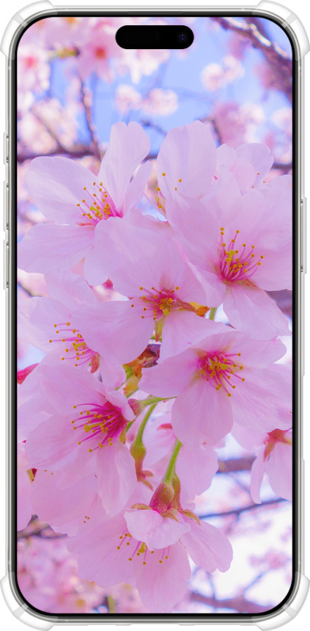 Силикон с усиленными углами чехол Сакура для Apple iPhone 16 Pro - 6029sp-3708 изображение 