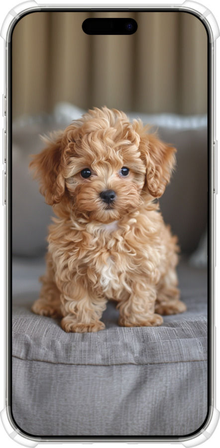 Силикон с усиленными углами чехол Mini-maltipoo для Apple iPhone 16 Pro - 6158sp-3708 изображение 