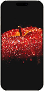 Силиконовый чехол Яблоко для Apple iPhone 16 Pro - 6022u-3708 изображение 