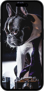 TPU чехол Бульдог-фотограф для Apple iPhone 16 - 142b-3709 изображение 