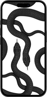 TPU чехол Змеи для Apple iPhone 16 - 5473b-3709 изображение 