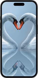 TPU чехол Лебеди для Apple iPhone 16 - 6007b-3709 изображение 