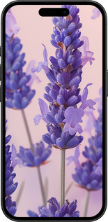TPU чехол Лаванда для Apple iPhone 16 - 6037b-3709 изображение 