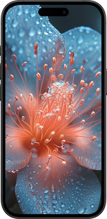 TPU чехол Роса на квітці для Apple iPhone 16 - 6039b-3709 изображение 