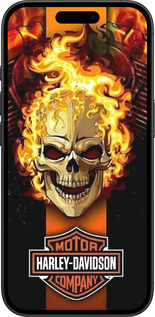 TPU чехол Харлей девидсон для Apple iPhone 16 - 6370b-3709 изображение 