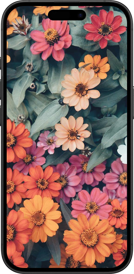 TPU чехол Beauty flowers для Apple iPhone 16 - 4050b-3709 изображение 