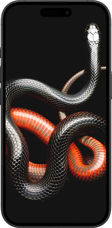 TPU чехол Червоно-чорна змія на чорному фоні для Apple iPhone 16 - 4063b-3709 изображение 