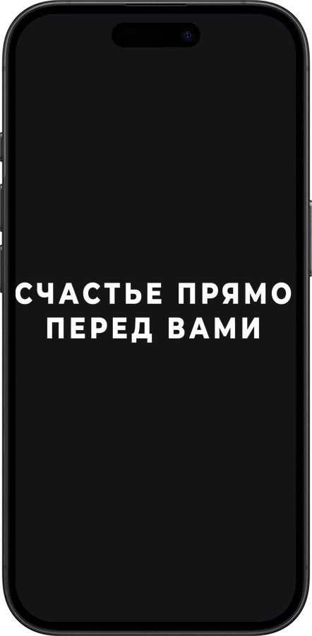 TPU чехол Счастье для Apple iPhone 16 - 4315b-3709 изображение 