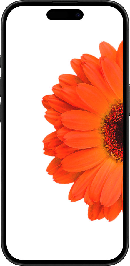 TPU чехол Гербера 1 для Apple iPhone 16 - 4534b-3709 изображение 