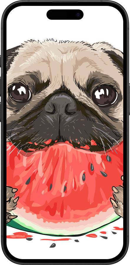 TPU чехол Мопс и арбуз для Apple iPhone 16 - 4665b-3709 изображение 
