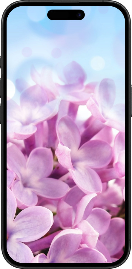 TPU чехол Сирень для Apple iPhone 16 - 527b-3709 изображение 