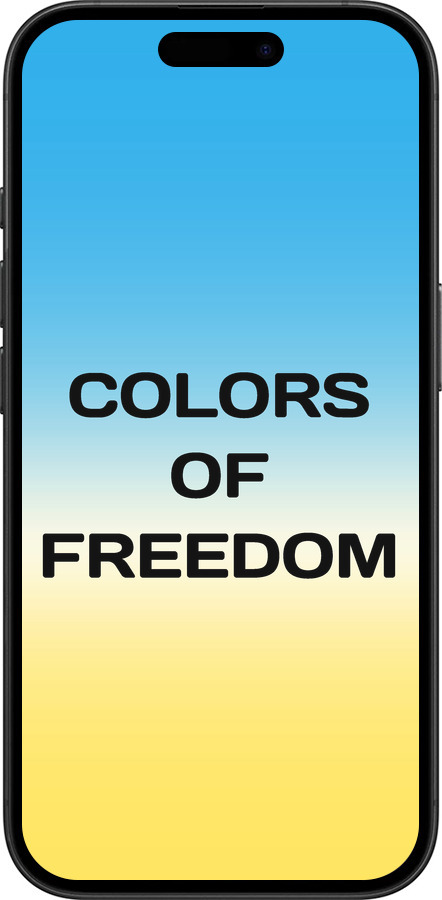 TPU чехол Colors of Freedom для Apple iPhone 16 - 5453b-3709 изображение 