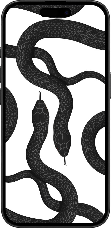 TPU чехол Змеи для Apple iPhone 16 - 5473b-3709 изображение 