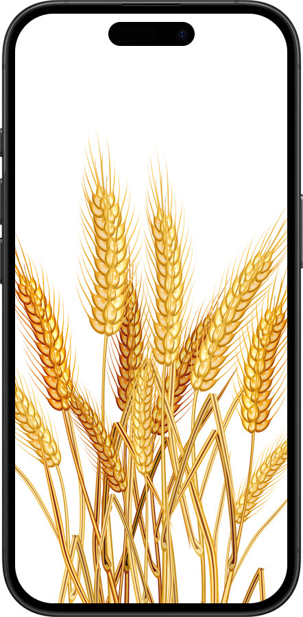 TPU чехол Колоски пшеници для Apple iPhone 16 - 5866b-3709 изображение 