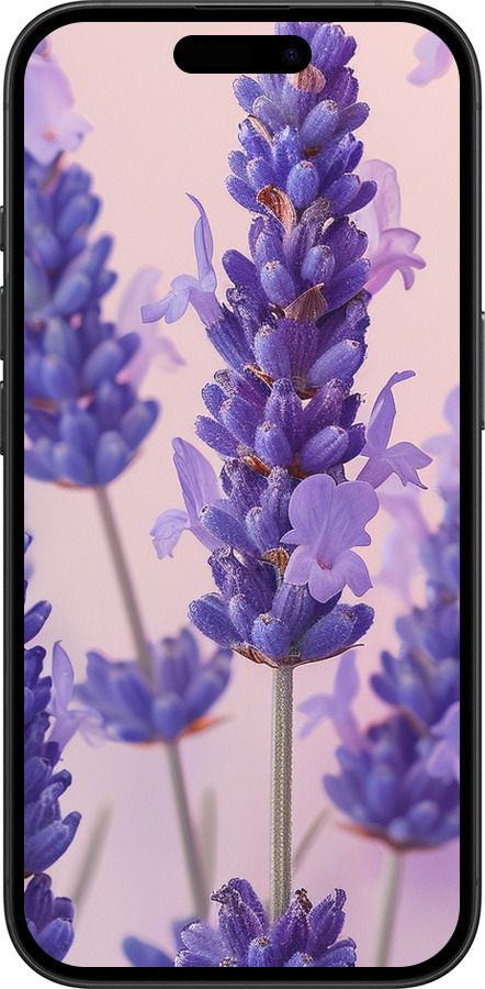TPU чехол Лаванда для Apple iPhone 16 - 6037b-3709 изображение 