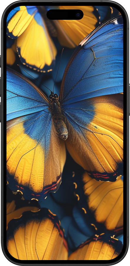 TPU чехол Желто-голубые бабочки для Apple iPhone 16 - 6046b-3709 изображение 