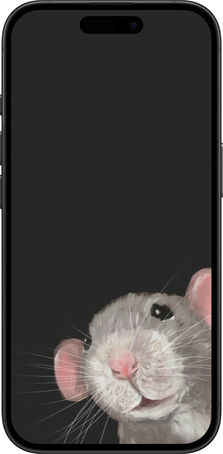 TPU чехол The Peeking Rat для Apple iPhone 16 - 6442b-3709 изображение 