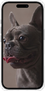 Силикон с усиленными углами чехол Милый бульдог для Apple iPhone 16 - 5546sp-3709 изображение 