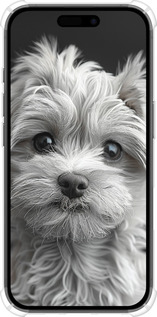 Силикон с усиленными углами чехол Мальтипу на чорном фоне для Apple iPhone 16 - 6156sp-3709 изображение 
