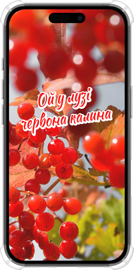 Силикон с усиленными углами чехол Калина для Apple iPhone 16 - 5454sp-3709 изображение 