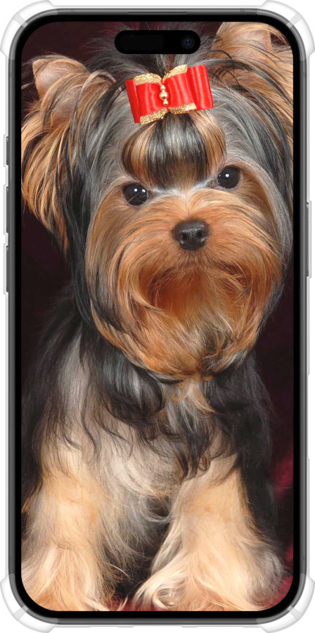Силикон с усиленными углами чехол Йоркширский терьер для Apple iPhone 16 - 929sp-3709 изображение 