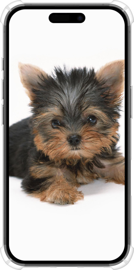 Силикон с усиленными углами чехол Щенок йоркширского терьера для Apple iPhone 16 - 931sp-3709 изображение 