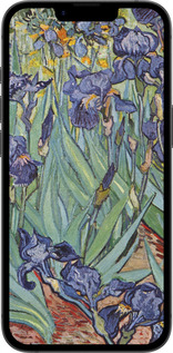 TPU чехол Винсент Ван Гог. Ирисы для Apple iPhone SE 4 - 161b-3652 изображение 