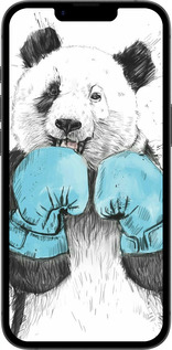 TPU чехол Панда-боксер для Apple iPhone SE 4 - 4104b-3652 изображение 
