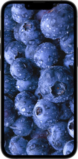 TPU чехол Голубика для Apple iPhone SE 4 - 4459b-3652 изображение 