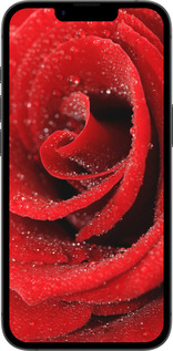 TPU чехол Червона троянда для Apple iPhone SE 4 - 529b-3652 изображение 