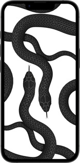 TPU чехол Змеи для Apple iPhone SE 4 - 5473b-3652 изображение 