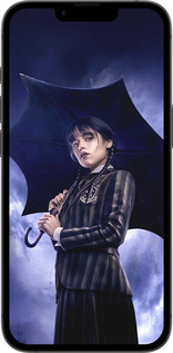 TPU чехол Wednesday v2 для Apple iPhone SE 4 - 5516b-3652 изображение 